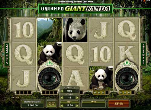 Untamed Giant Panda slot