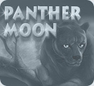 The Panther Moon